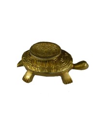 Brass Tortoise HKIBRASS4012